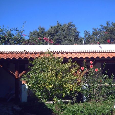 Finca El Abuelo Barbate Buitenkant foto