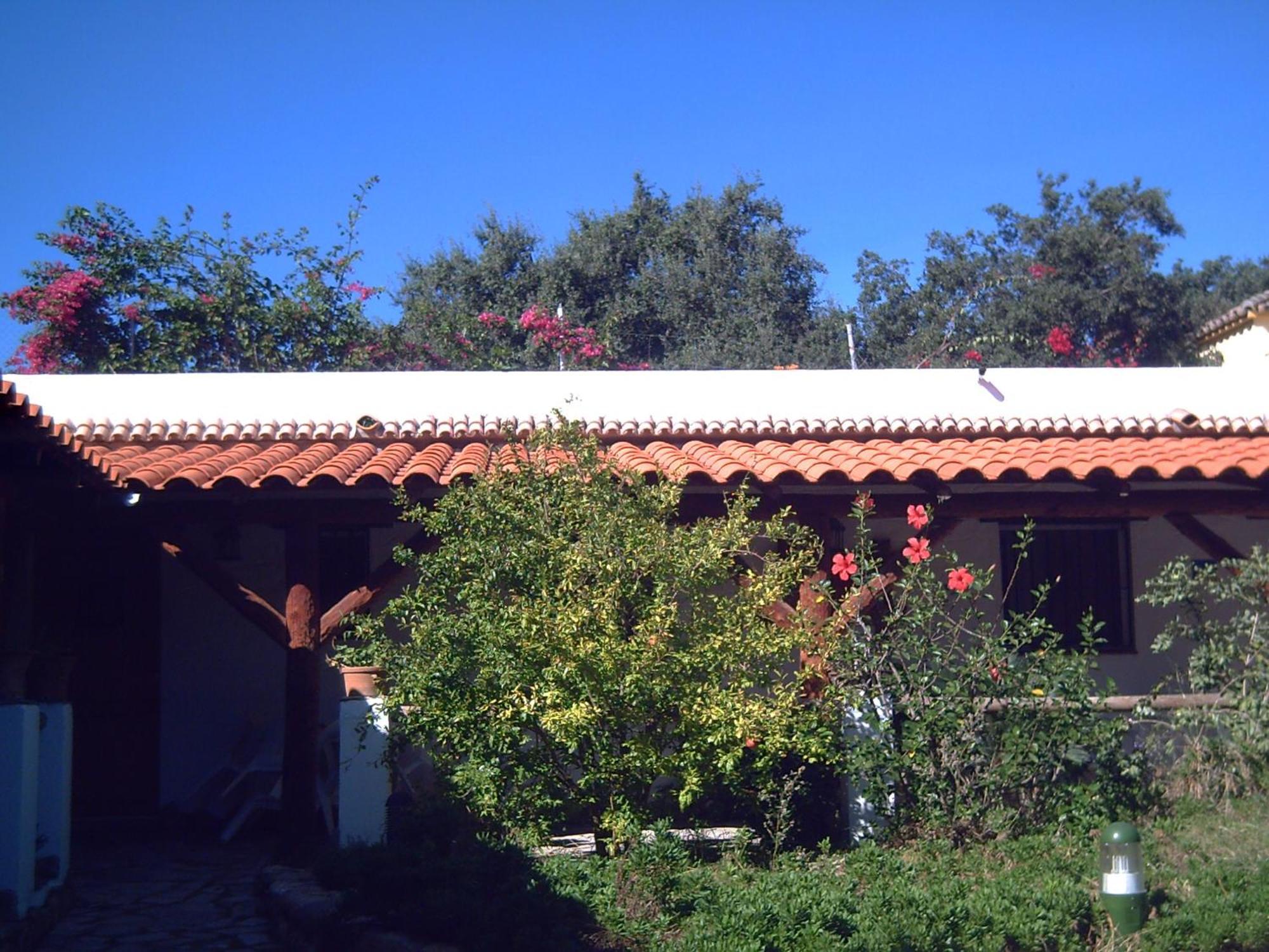 Finca El Abuelo Barbate Buitenkant foto